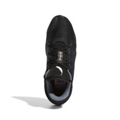 Chaussures Indoor Adidas D.O.N. Issue 2